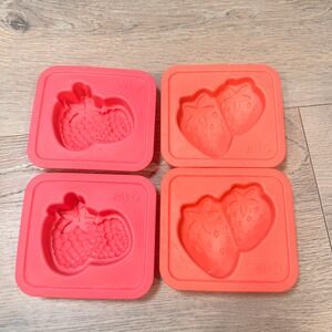 Set‎ of 4 Jello Silicone Ice Cube Molds Strawberry Raspberry Shapes Dessert